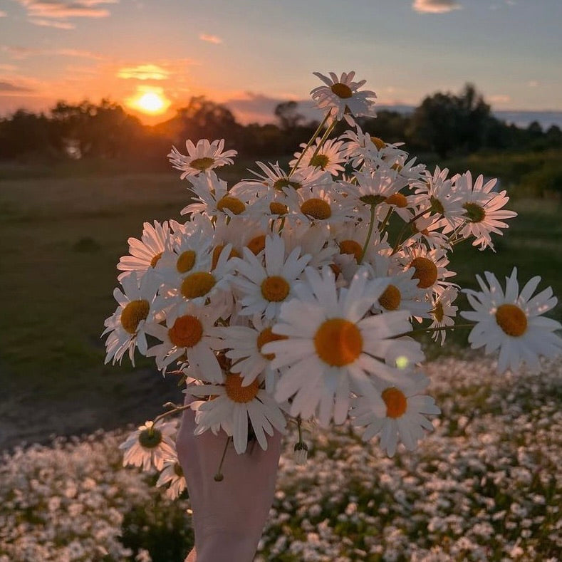 Self-Love and Comfort: How the Right Leggings Boost Confidence and Nurture Relationships?